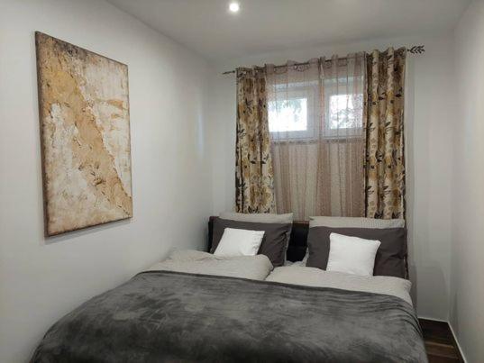 Dr Becsey Luxury Apartman Бекесксаба Екстериор снимка